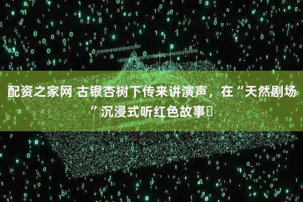 配资之家网 古银杏树下传来讲演声，在“天然剧场”沉浸式听红色故事​