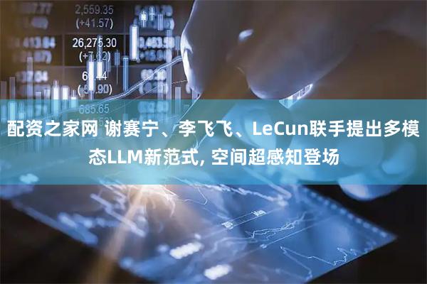 配资之家网 谢赛宁、李飞飞、LeCun联手提出多模态LLM新范式, 空间超感知登场